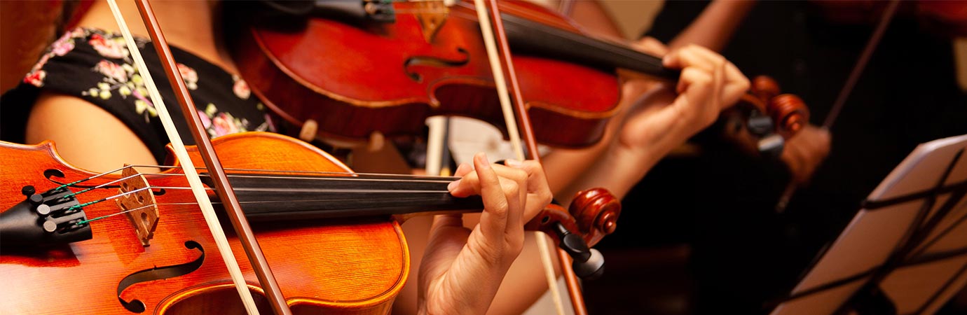 Orchestra Program Lessons in Central Ottawa at Home