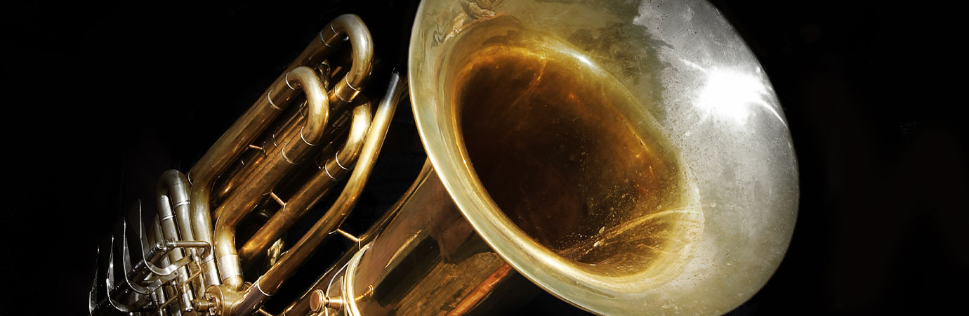 Tuba Lessons at your home or at our Kingston Music School