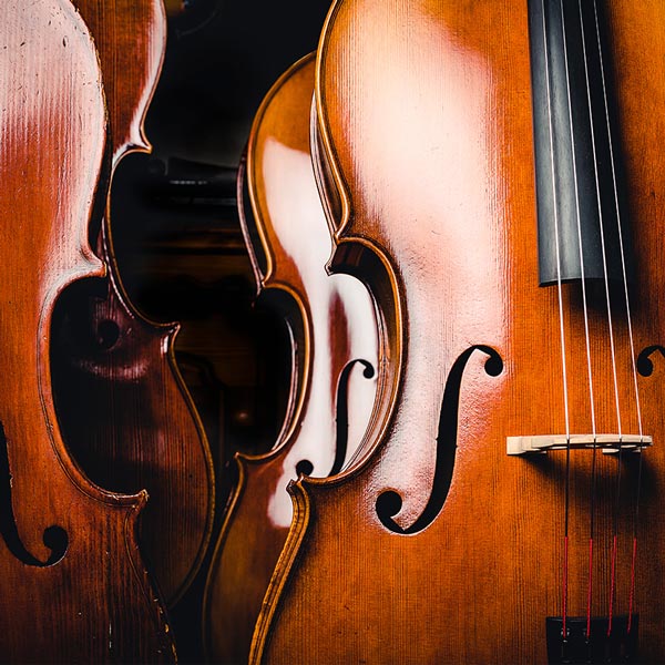 Cello Lessons in Hallville