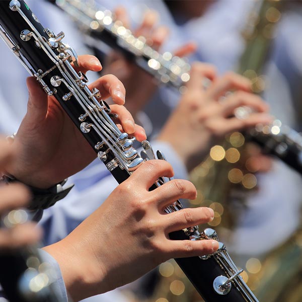 Clarinet Lessons in Roncesvalles Village