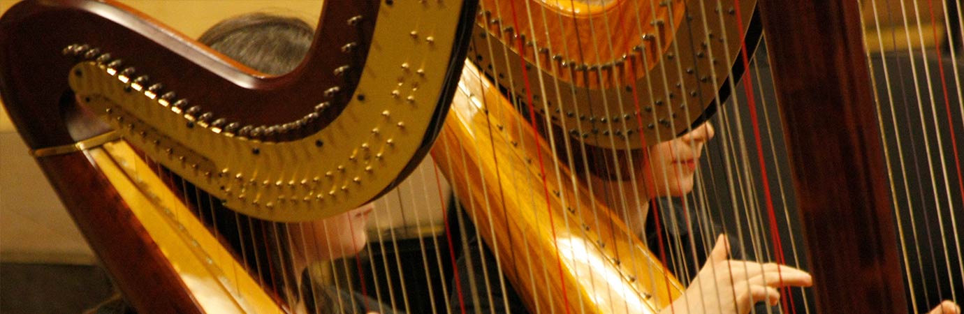 Harp Lessons at your home or at our Waterloo Region Music School