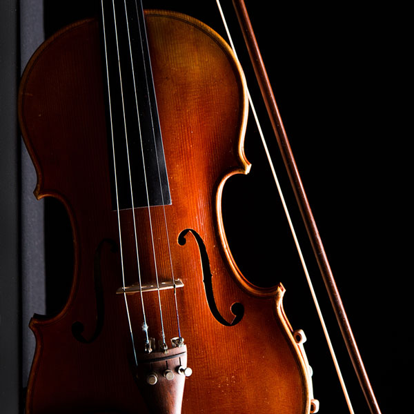 Violin Lessons in Hexton