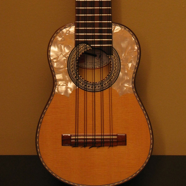 Charango Lessons in Brockville Central at Home 