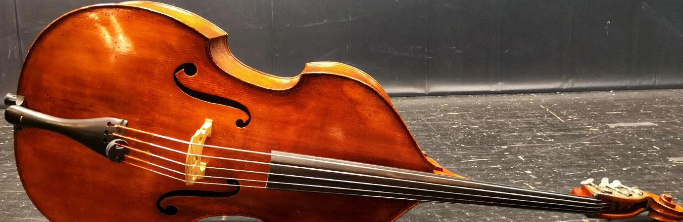 Upright Bass Lessons in Toronto (GTA) Music School
