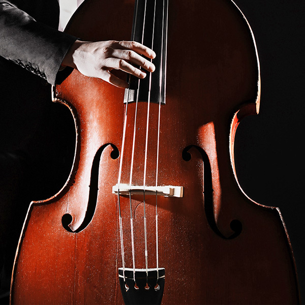 Upright Bass Lessons Online
