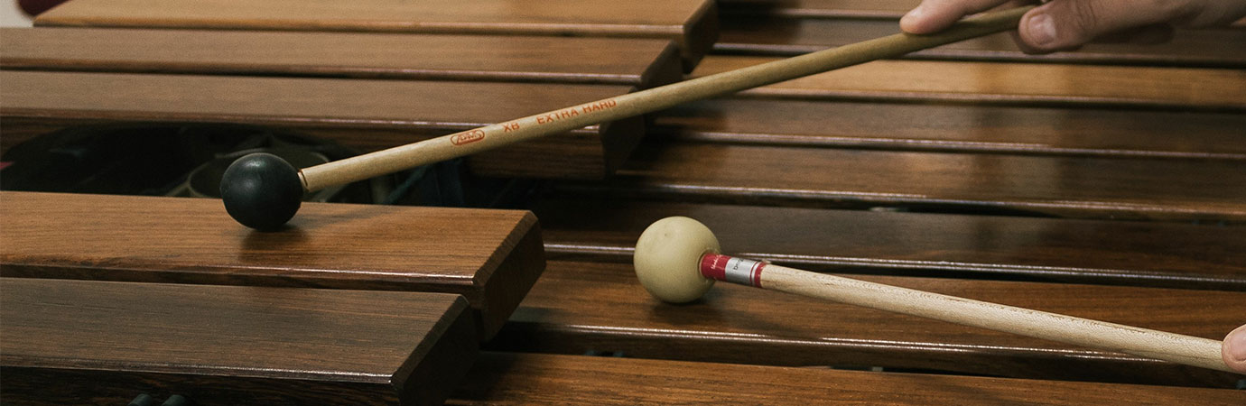 Xylophone Lessons in Toronto (GTA) Music School