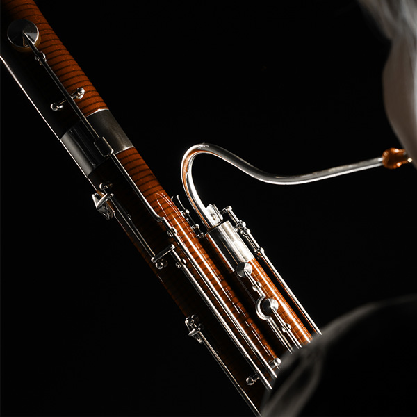 Bassoon Lessons Online