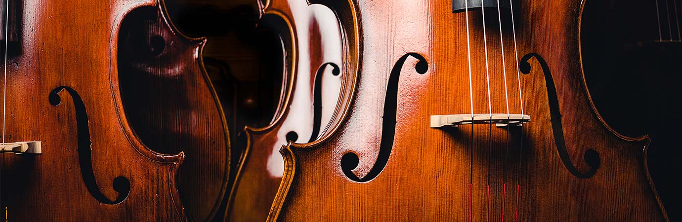 Cello Lessons in Cambridge at Home